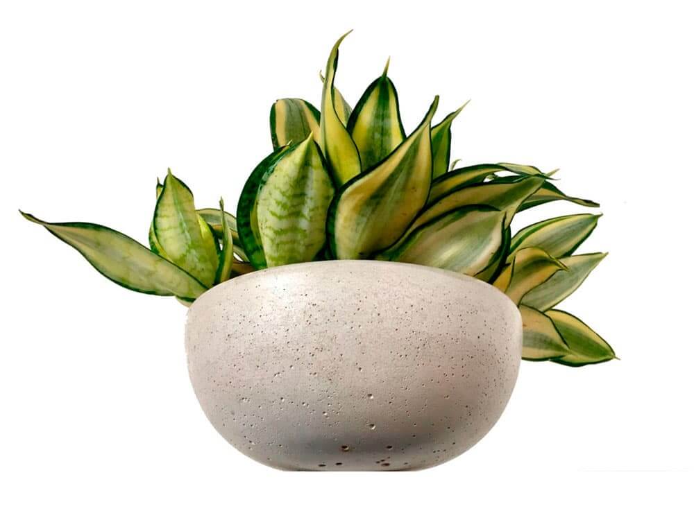 Concreto na decoração – ideias para um decor moderninho 9