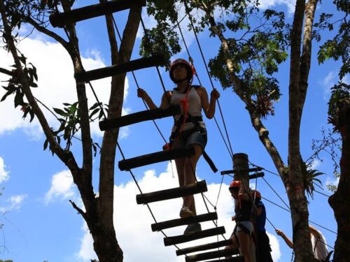 arvorismo com tirolesa