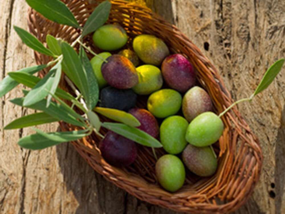 Tudo sobre azeites! Degustação e harmonização online em tempo real - Image 10