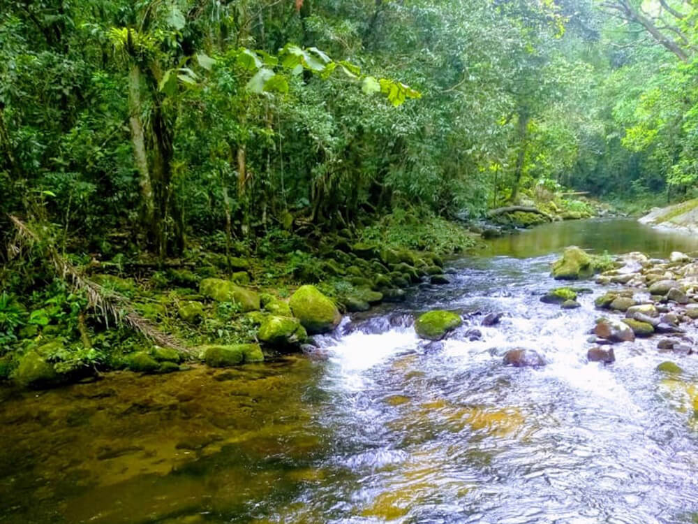 Vivência com Etnia Pataxó, uma imersão nos povos originários - Image 2