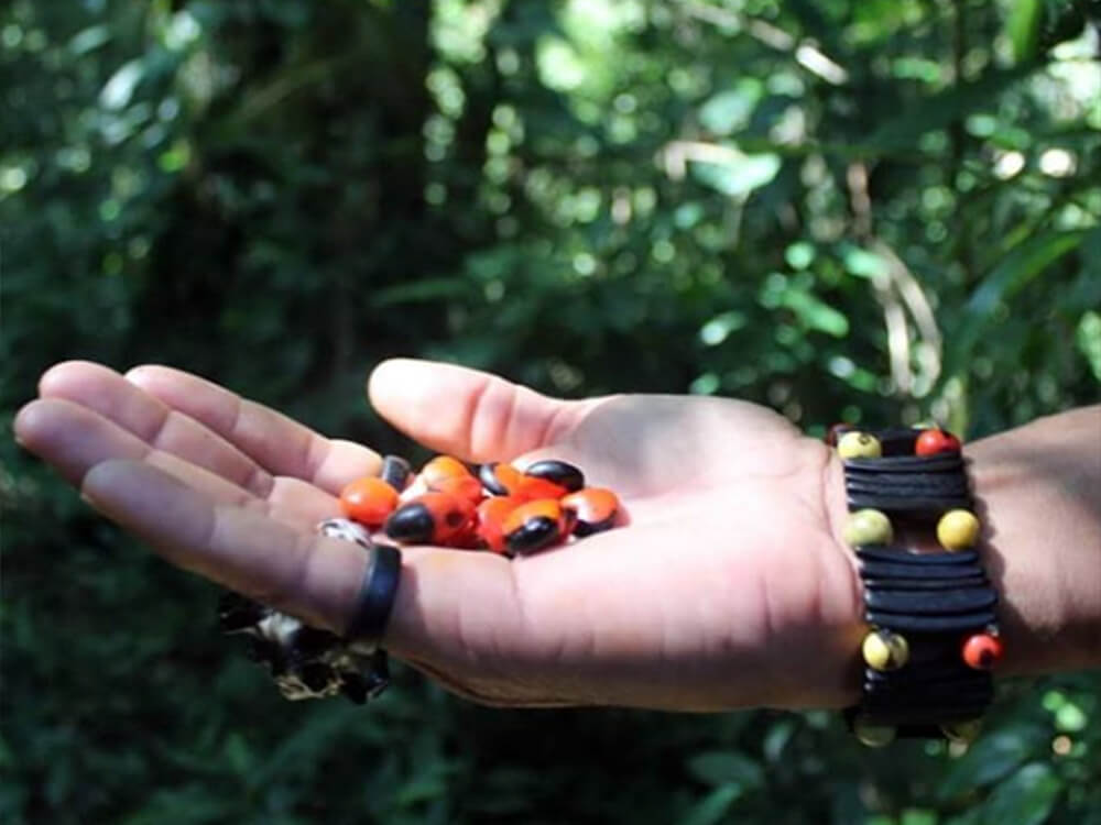 Vivência com Etnia Pataxó, uma imersão nos povos originários - Image 3