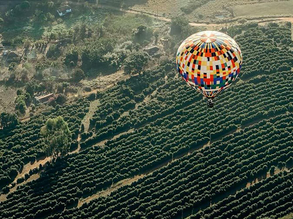 Presente para secretária: 7 Ideias de presentes criativos para secretária! 4