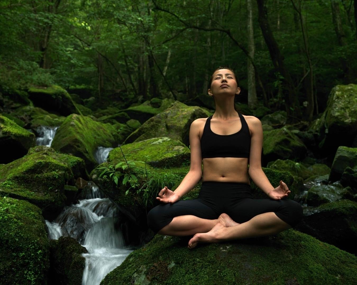 Café da manhã na natureza! Contemple a exuberância da natureza em um café da manhã com Yoga e Trilha Sensorial! - Image 3