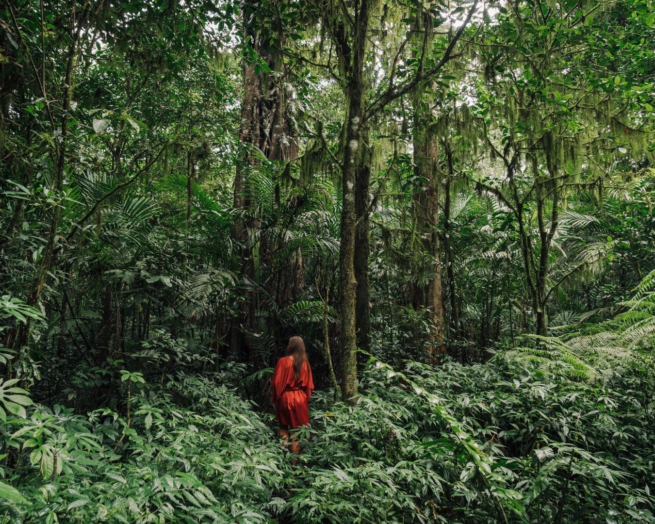 Café da manhã na natureza! Contemple a exuberância da natureza em um café da manhã com Yoga e Trilha Sensorial! - Image 2