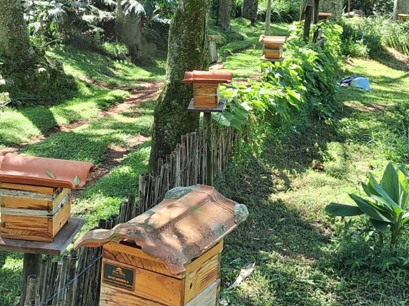 Day Use Serra do Japi - Image 4