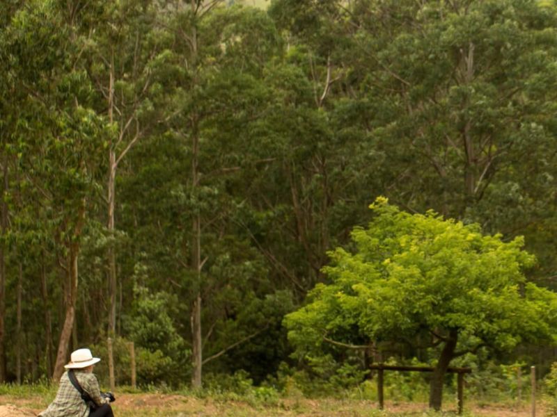 Day Use Serra do Japi - Image 5