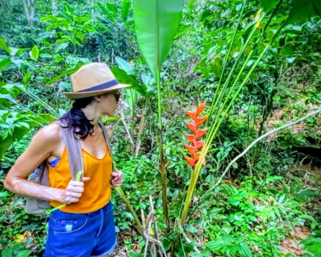 Se encante nas Trilhas das Praias Protegidas do Rio! Conheça as praias desertas de Grumari e Prainha! - Image 2