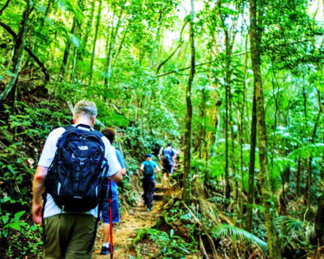 Trilha da Pedra Bonita! Conheça umas das trilhas mais famosas do Rio e se deslumbre com visuais de tirar o fôlego! - Image 4