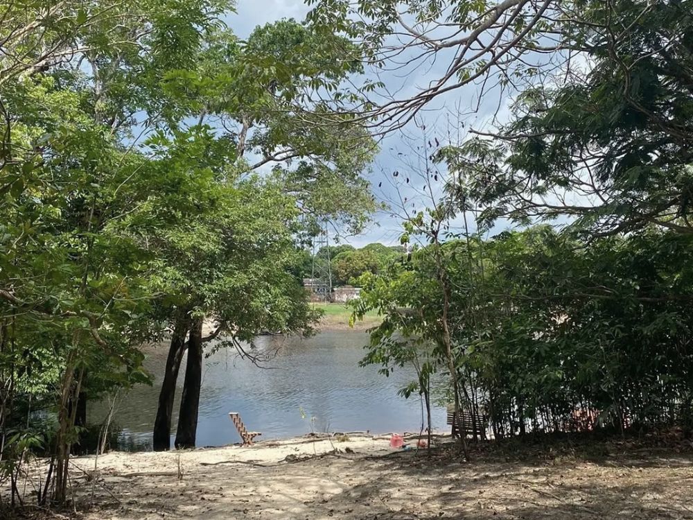 Se conecte com a Floresta Amazônica! Passe o dia em um refúgio no meio da Floresta! - Image 2