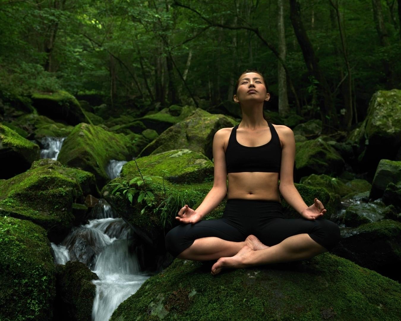 Detox na Floresta! Um final de semana de experiências inesquecíveis em contato com a natureza! - Image 2