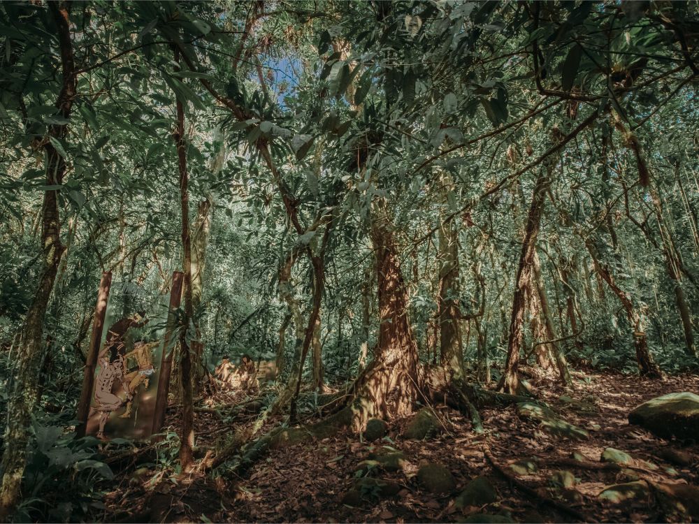 Encontre sua própria natureza! Conheça o EKÔA Park e explore o mundo sensorial com atividades ecológicas! - Image 3