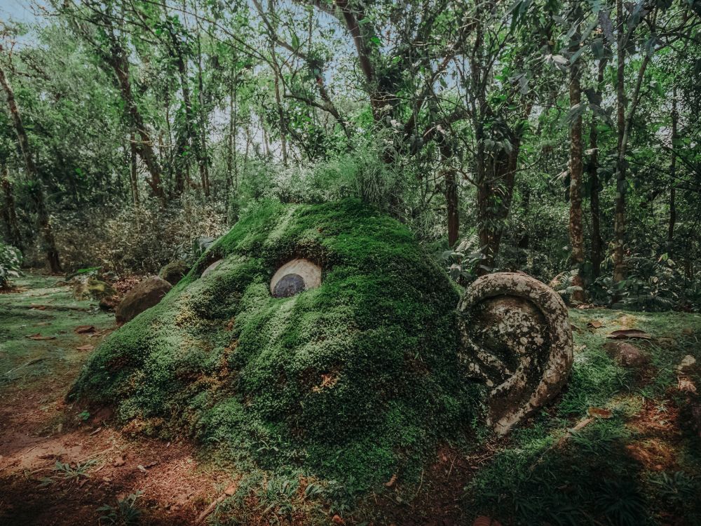 Encontre sua própria natureza! Conheça o EKÔA Park e explore o mundo sensorial com atividades ecológicas! - Image 2