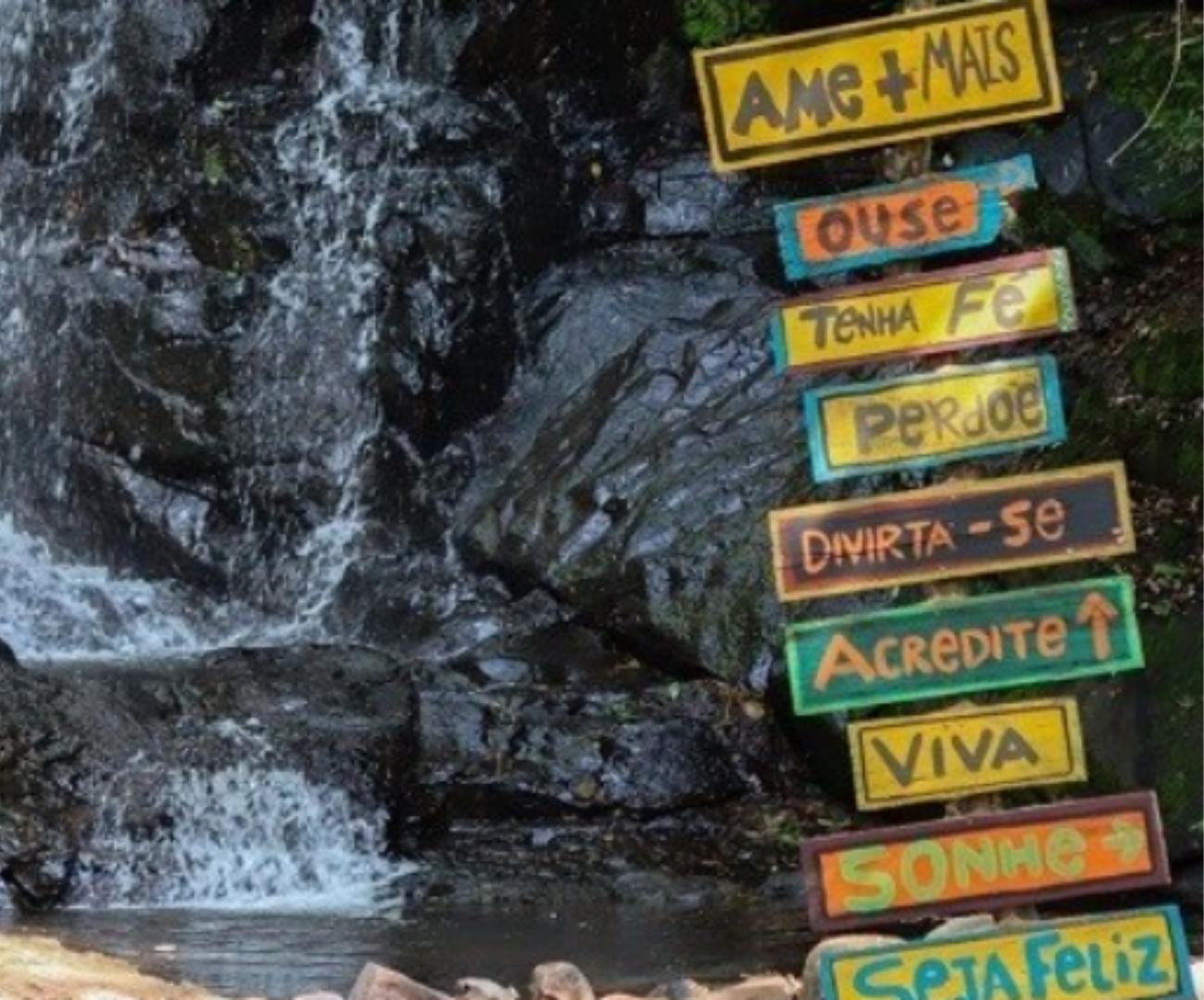 Contemple a natureza e relaxe em um Banho de Floresta! - Image 4