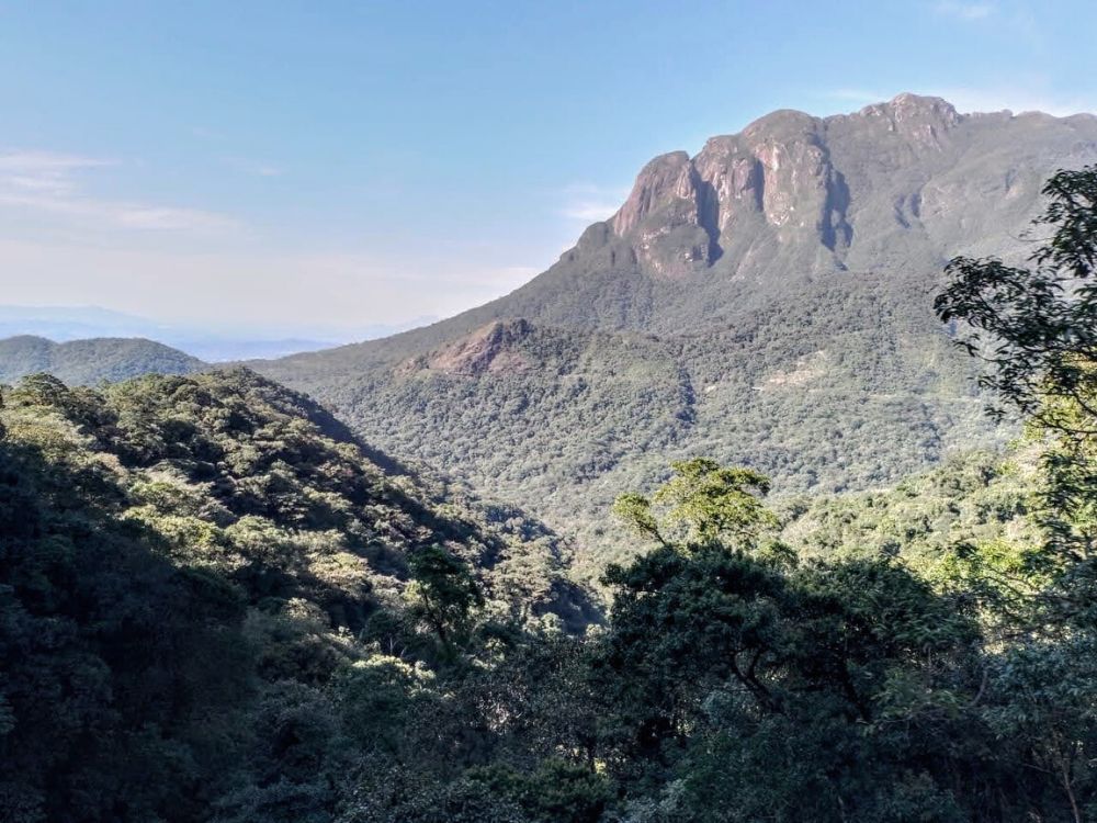 História e natureza! Conheça a Trilha do Rochedinho dentro do Parque Estadual do Marumbi! - Image 6