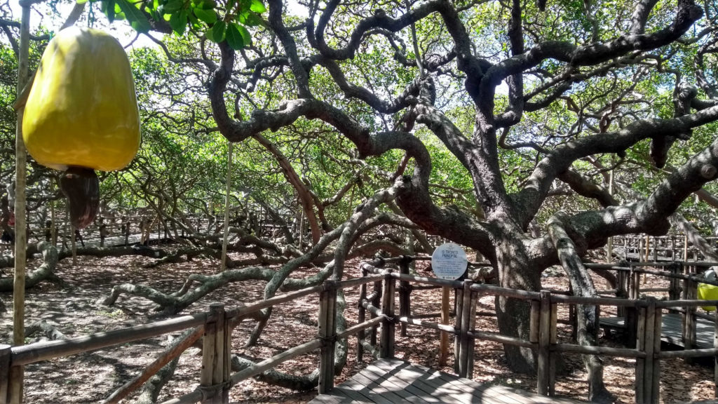 Aventura OFF Road 4x4 no Litoral Sul do RN - Image 3