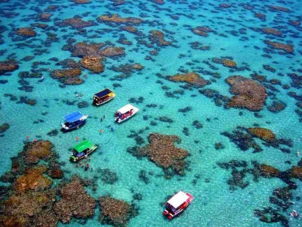 Maracajaú + Mergulho (catamarã) - Image 3