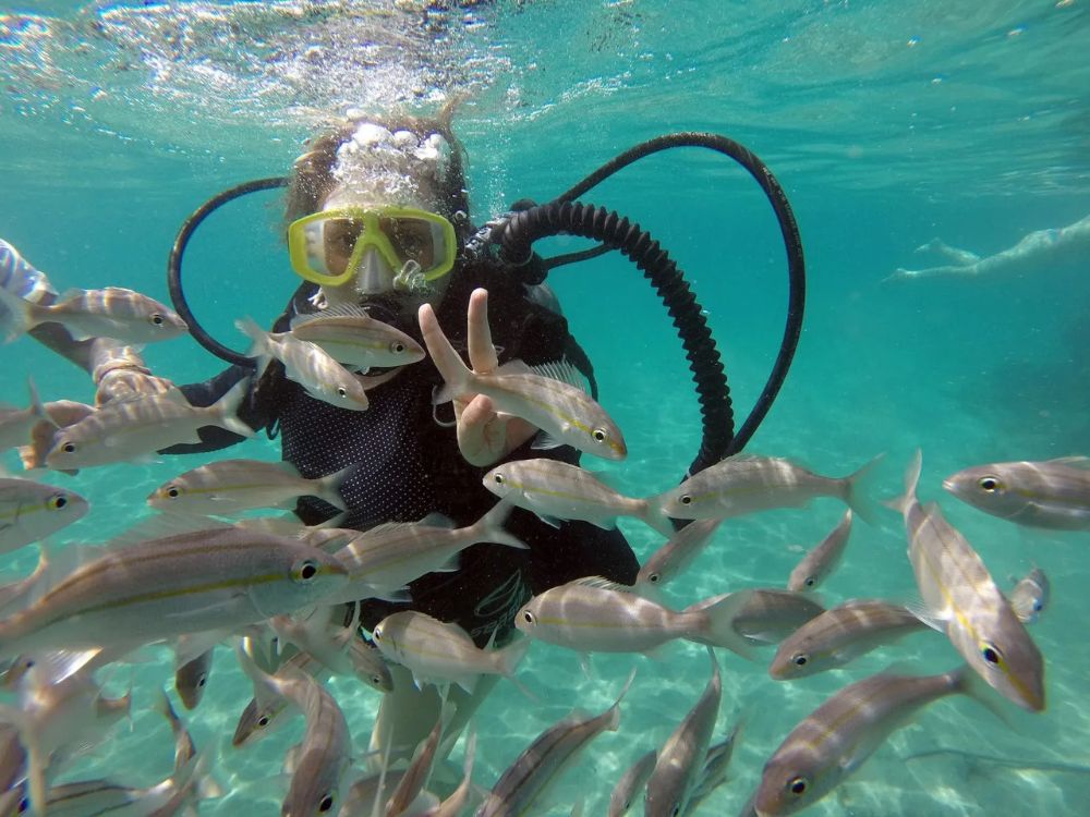 Maracajaú + Mergulho (catamarã) - Image 2