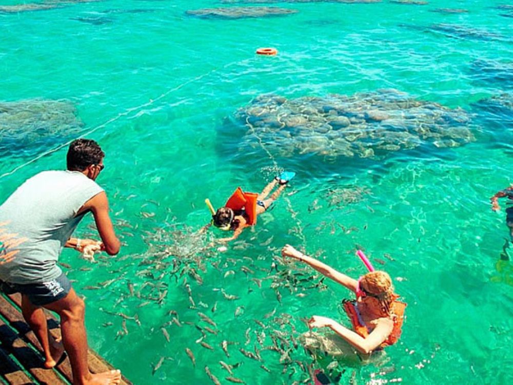 Passeio de lancha aos parrachos de Maracajaú - Image 3