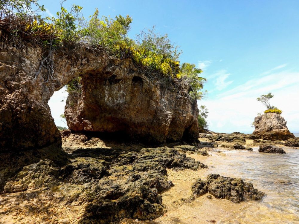 Passeio das Ilhas - Lancha & Taipu de fora - Image 3