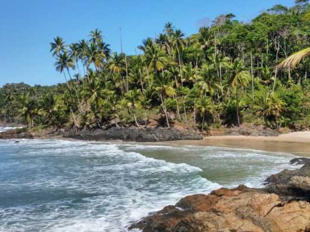 4 praias e cachoeira do Tijuípe - Image 3