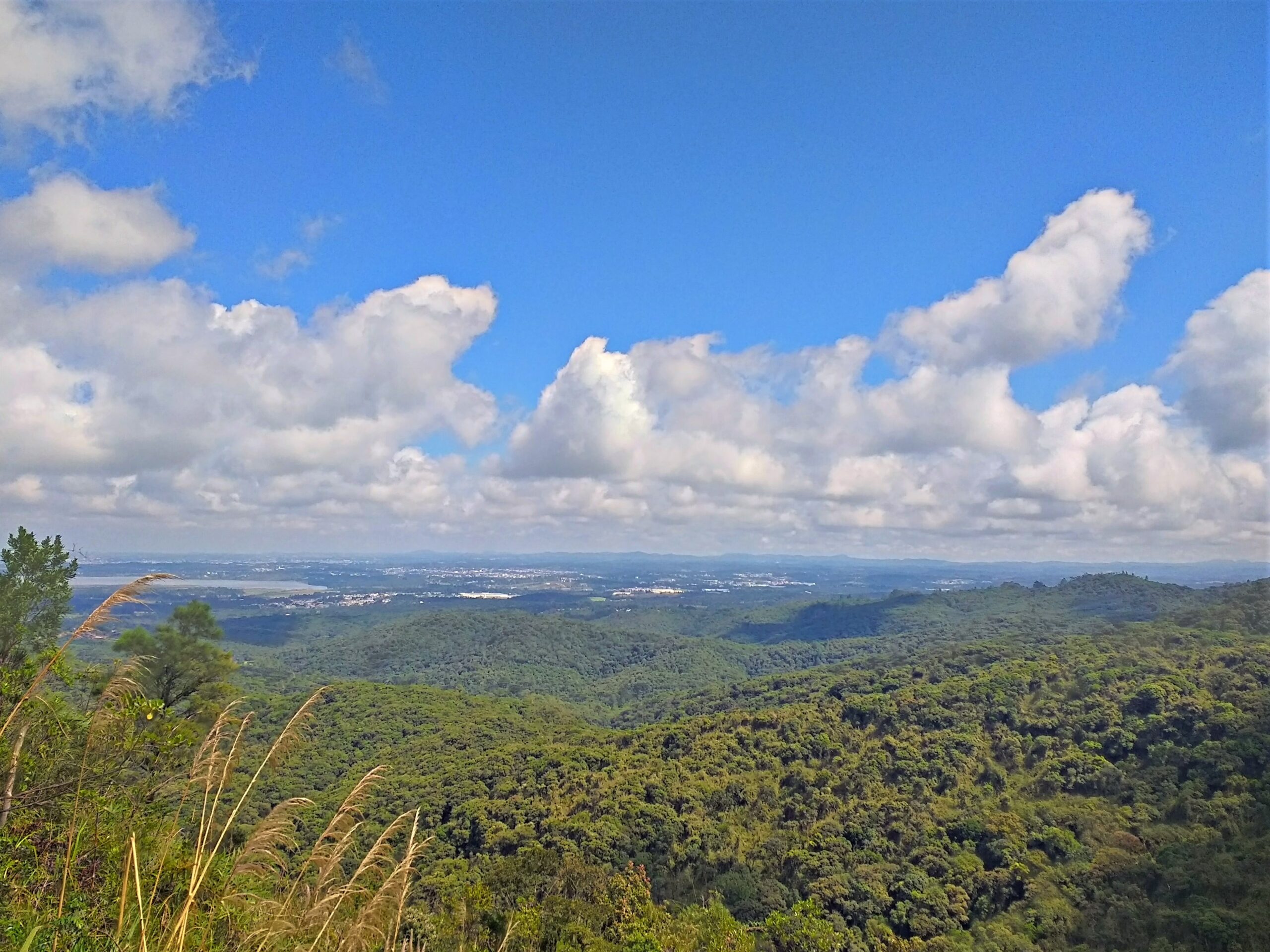 Minha Primeira Montanha + Cachoeira: uma grande aventura com trilha até o Morro Pão de Loth de Curitiba - Image 2