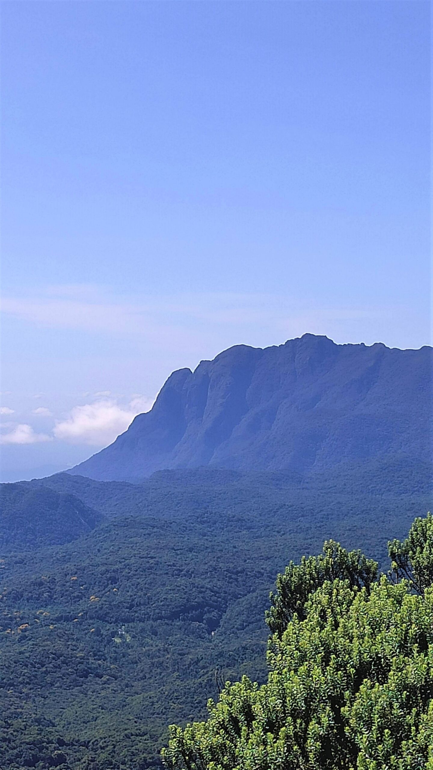 Minha Primeira Montanha + Cachoeira: uma grande aventura com trilha até o Morro Pão de Loth de Curitiba - Image 4