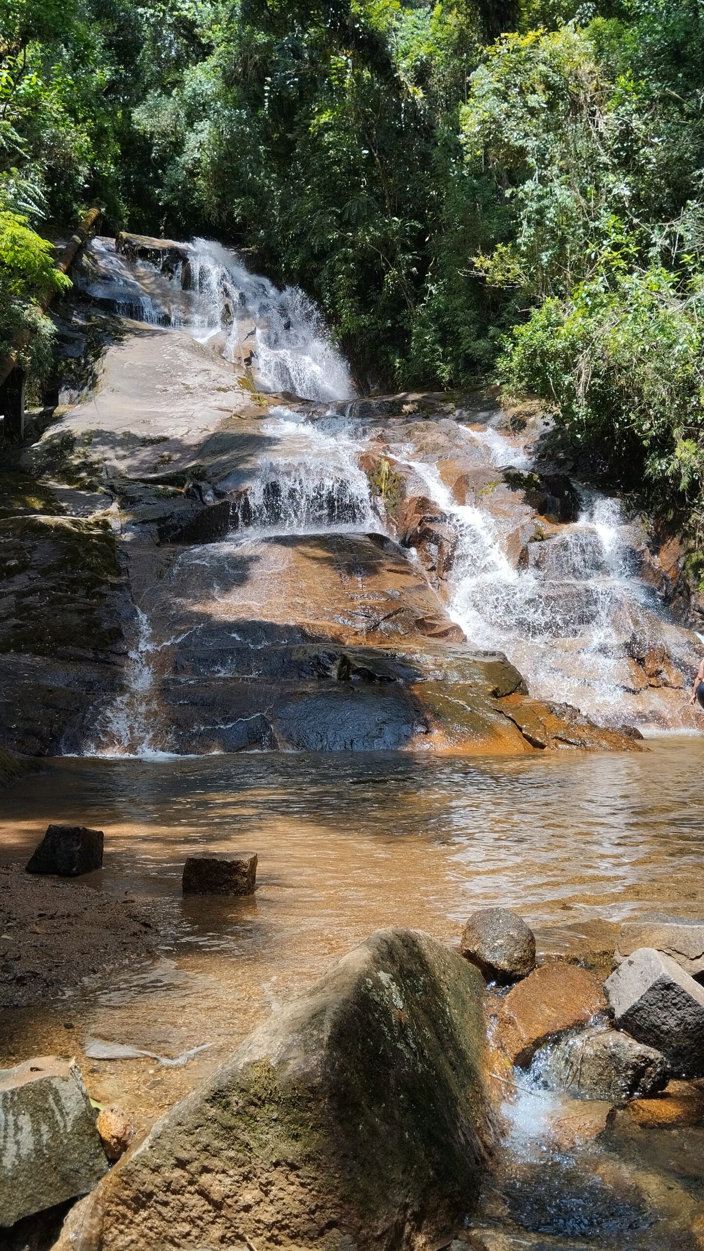 Minha Primeira Montanha + Cachoeira: uma grande aventura com trilha até o Morro Pão de Loth de Curitiba - Image 3
