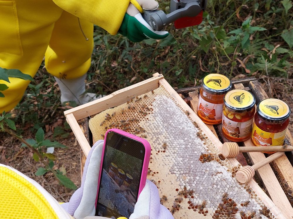 Uma imersão na cultura holandesa com degustação de méis raros: uma vivência sensorial completa nas Montanhas Capixabas - Image 3
