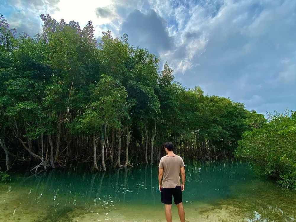 Um passeio encantador pelos manguezais cariocas + welcome drink - Image 4