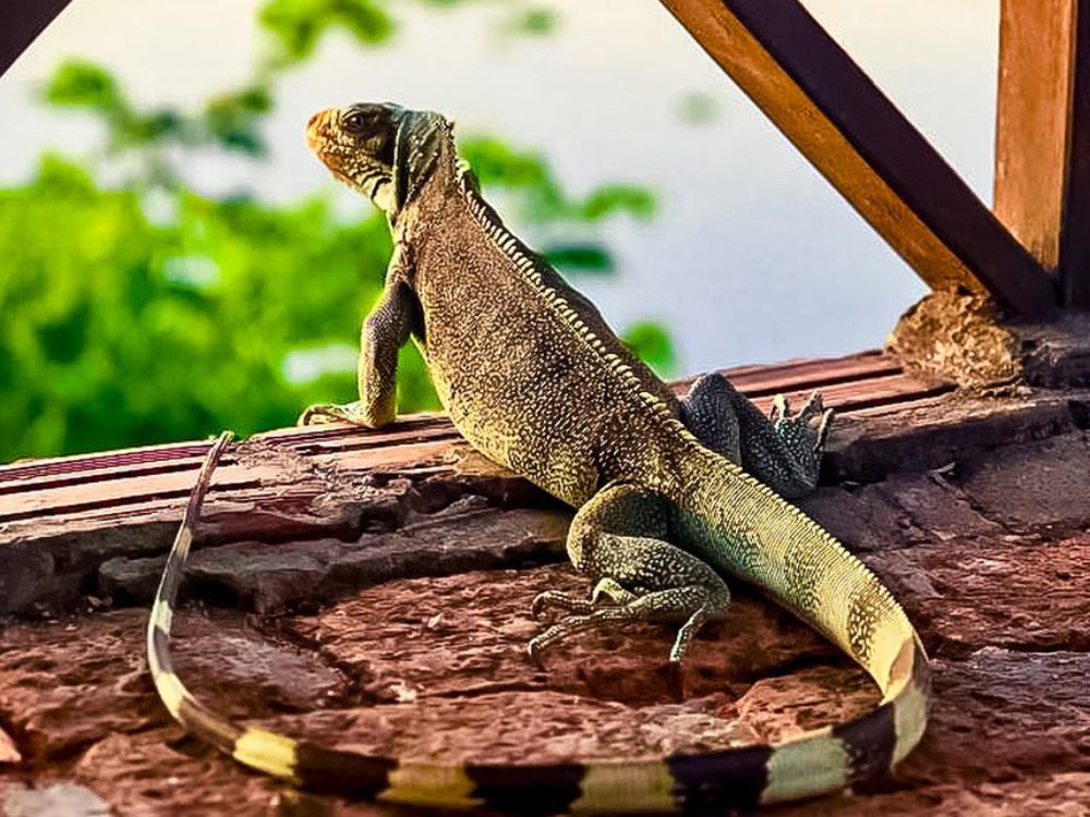 Bora ali no Piauí? Turismo gastronômico com Happy Hour em Teresina - Image 4
