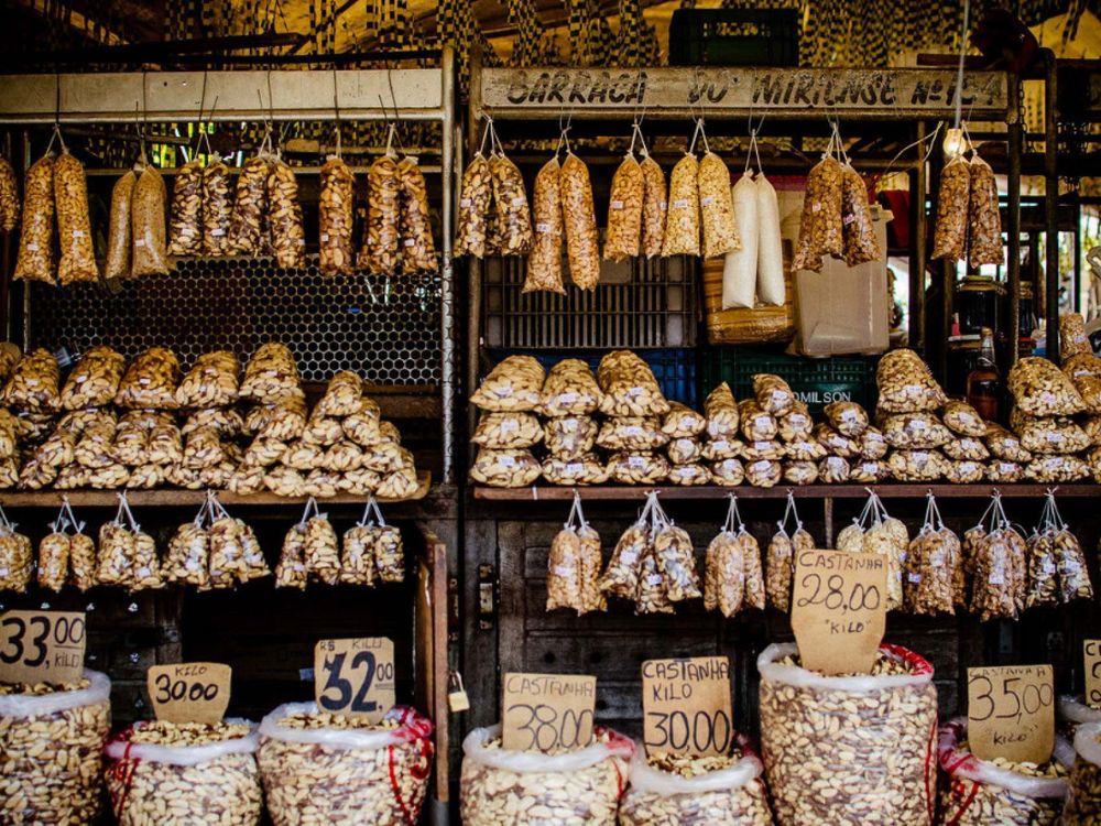 Conheça o patrimônio histórico-cultural de Belém do Pará em um walkingtour repleto de conhecimento e curiosidades - Image 4