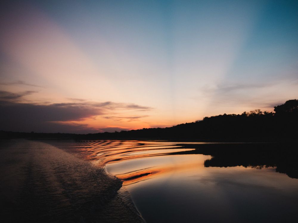 Imersão Amazônica: 5 dias de puro contato com a natureza - Image 4