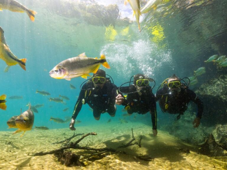 Amigo Secreto no Trabalho: 36 dicas para presentear 1