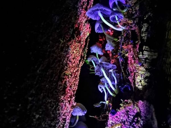 brinde-corporativo-final-de-ano