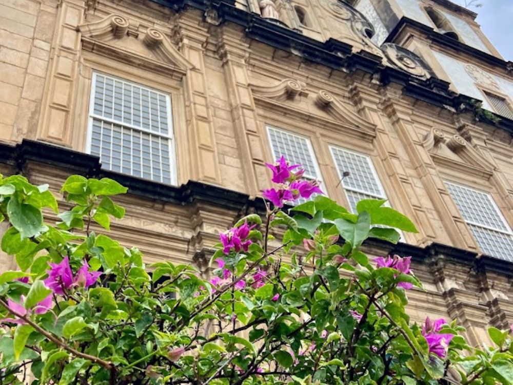 Descubra a essência da Bahia em um emocionante City Tour que combina história, cultura e o encanto das praias tropicais da Bahia Histórica