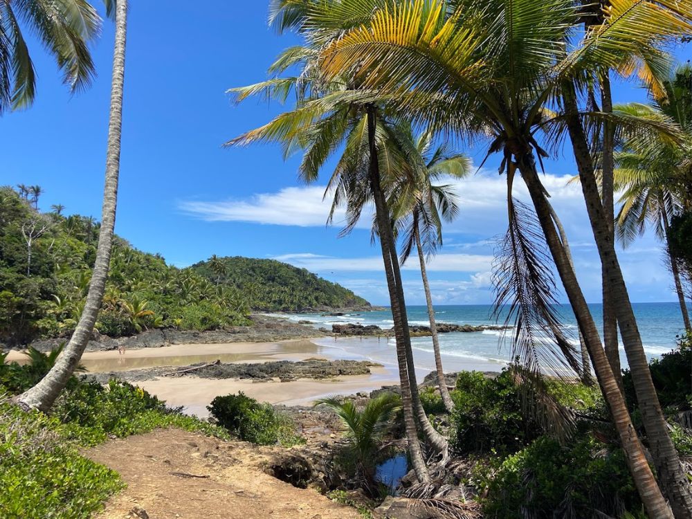 Descubra a essência da Bahia em um emocionante City Tour que combina história, cultura e o encanto das praias tropicais da Bahia Histórica - Image 2