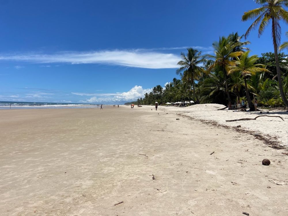 Descubra a essência da Bahia em um emocionante City Tour que combina história, cultura e o encanto das praias tropicais da Bahia Histórica - Image 3
