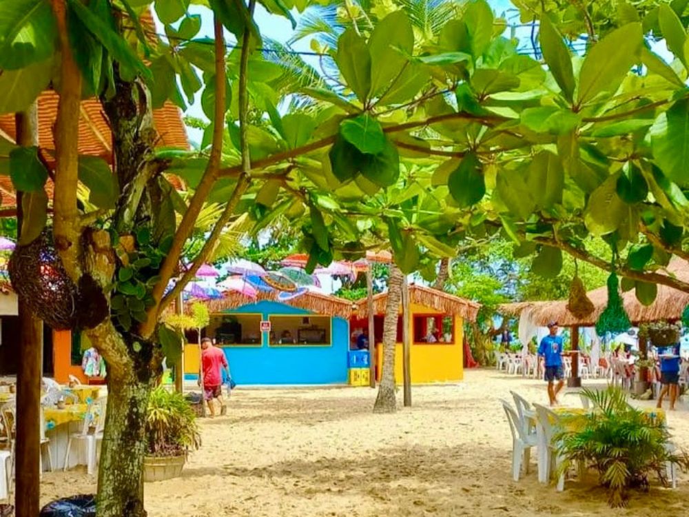 Descubra a magia da Baía de Todos-os-Santos em um tour pelas Ilhas Tropicais, Ilha dos Frades e Ilha de Itaparica