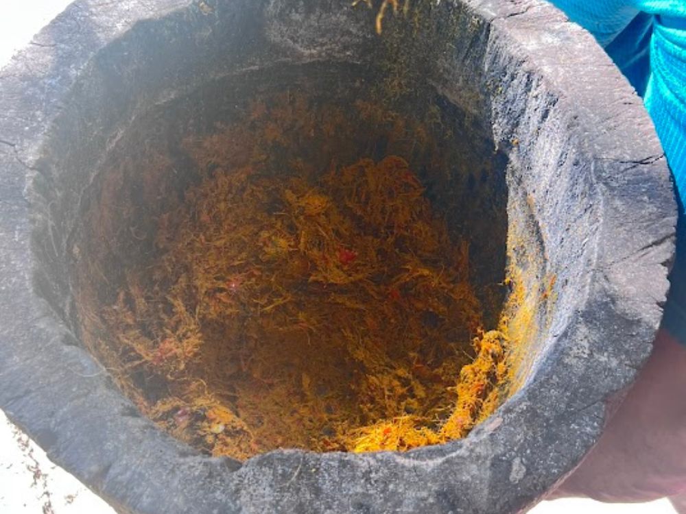 Imersão na vida quilombola com workshop de azeite de dendê, farinha de mandioca e xarope de ervas - Image 4