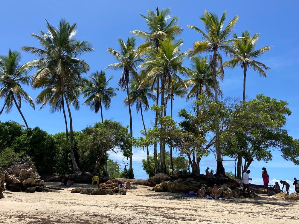 Águas cristalinas, areia branca e um cenário de tirar o fôlego: conheça as belezas naturais de Morro de São Paulo - Image 2