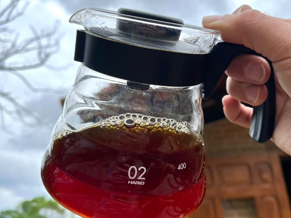 Fique por dentro dos processos produtivos do café especial e deguste diferentes grãos acompanhado por um especialista - Image 2