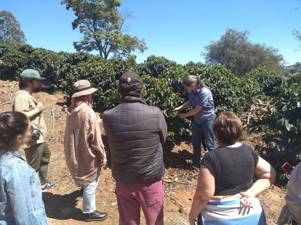 Fique por dentro dos processos produtivos do café especial e deguste diferentes grãos acompanhado por um especialista - Image 4