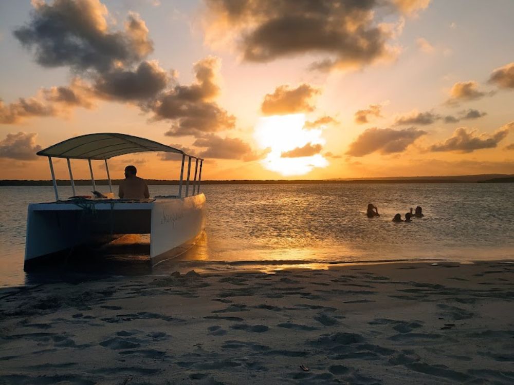 Presencie as mais lindas paisagens dos manguezais e arrecifes de Barra do Mamanguape + almoço em aldeia indígena - Image 2