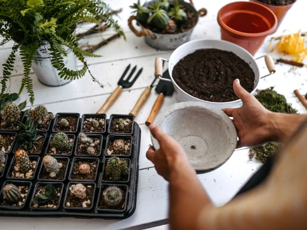 O despertar para a Ciência Botânica através do contato com o cultivo de plantas a partir de 8 pessoas - Image 4