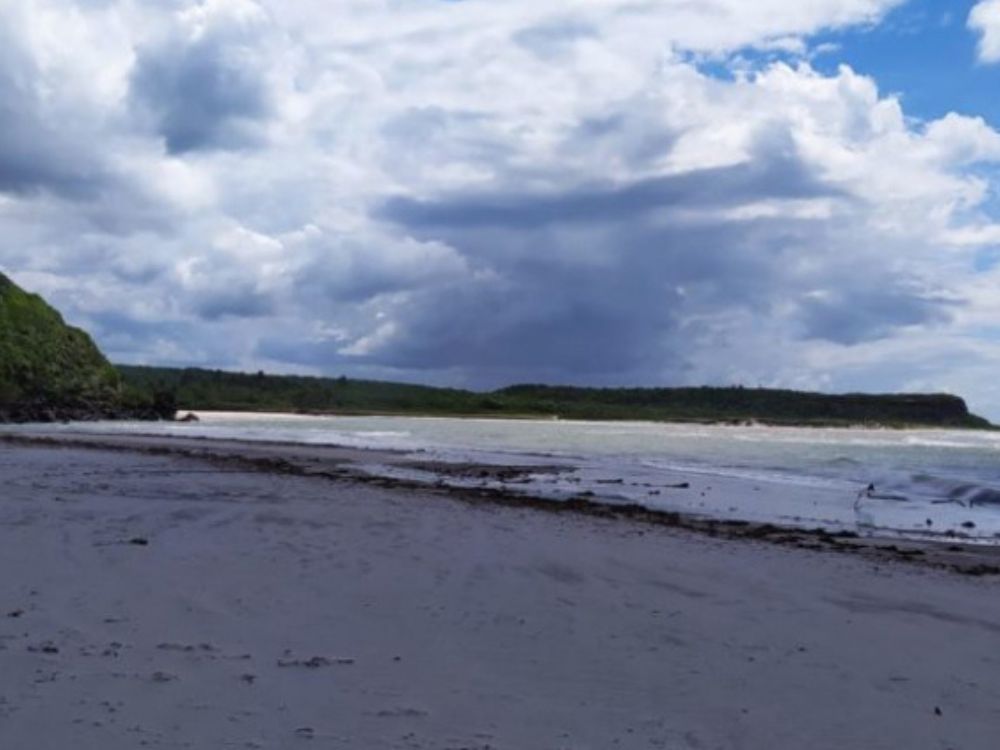 Passeio de Buggy pelo Litoral Norte - Paraíba - Image 4