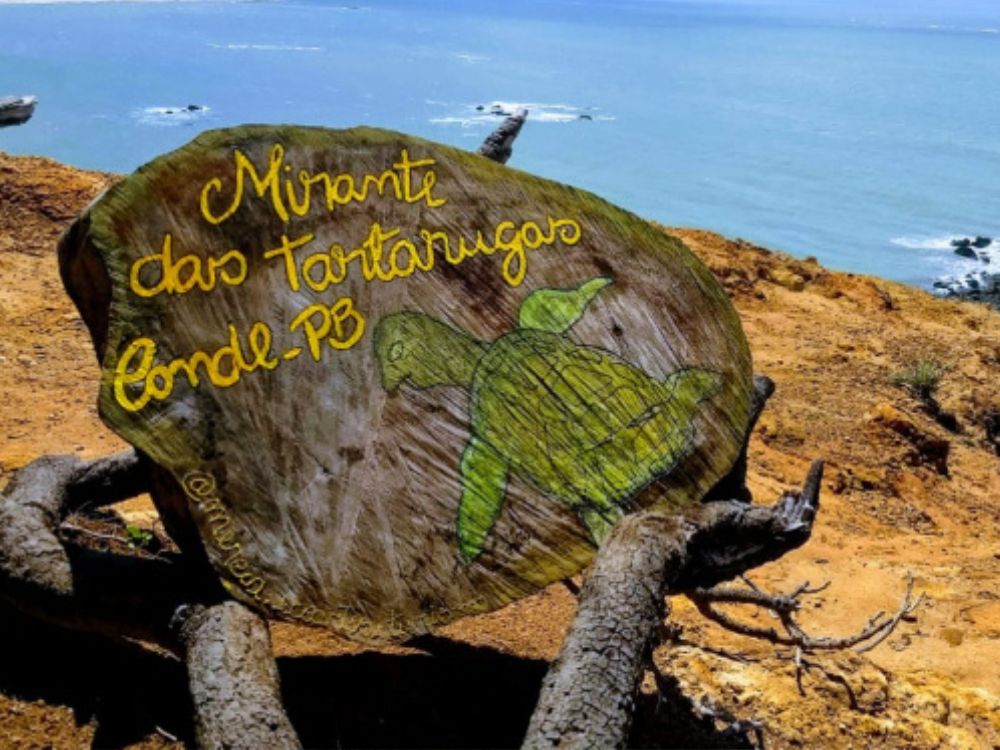 Passeio de Buggy pelo Litoral Sul - Paraíba - Image 3