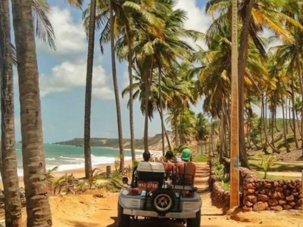 Passeio de Buggy pelo Litoral Sul - Paraíba