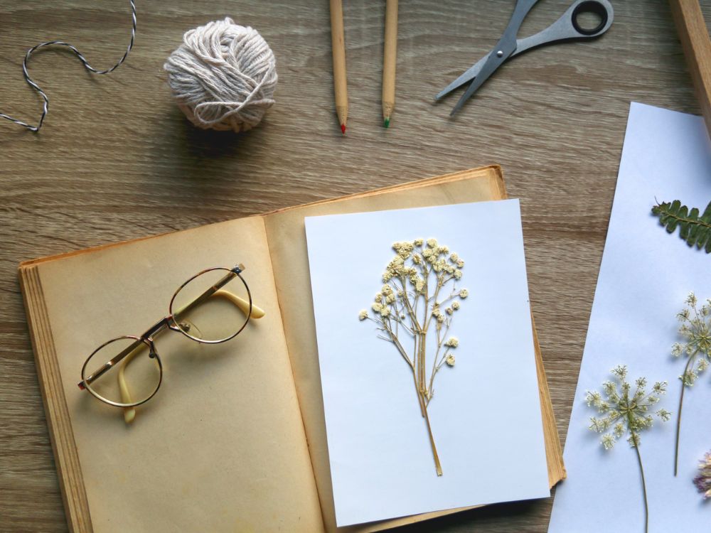 Quadros que guardam memórias: aprenda técnicas para secar plantas e flores em uma experiência coletiva e artística para a partir de 8 pessoas - Image 3