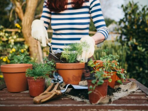 eventos-corporativos-67