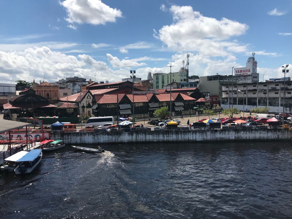 Aventura fluvial: descobrindo os tesouros naturais da Amazônia - Image 3
